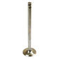 INTAKE VALVE BD144 BD154 B250 B275 B276, B414, 354 364 384 424 444 2424 2444