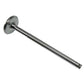 Sparex S.57603 Valve, Intake, 3040361r1