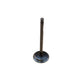 Intake Valve Fits Universal Replaces 115 02 105
