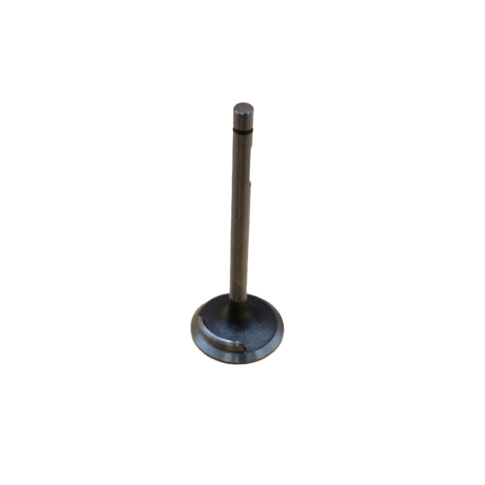 Intake Valve Fits Universal Replaces 115 02 105