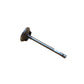 Intake Valve Fits Universal Replaces 115 02 105