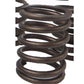 2255496 Valve Spring Fits Caterpillar Industrial Construction Models