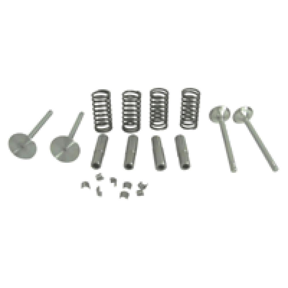 Valve Train Kit w/ Guides Springs Locks Intake & Exh. for 420 430 440