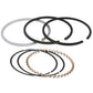 Piston Ring Set Fits 135 150 B125 D10 D12 230093 70230093GV 836100M91 836100M91-