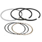 836100M91 Piston Ring Set Fits Allis Chalmers Tractors B 1B C CA B125 D10 D12 13