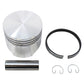 Standard Piston Fits Kohler Replaces 47 074 11