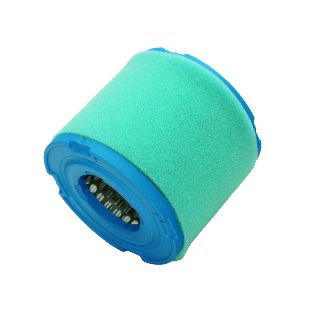 02451900 Air Filter Fits Briggs and Stratton Mower 820 820A 303400