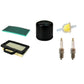 Filters w/ Spark Plugs Fits Stens