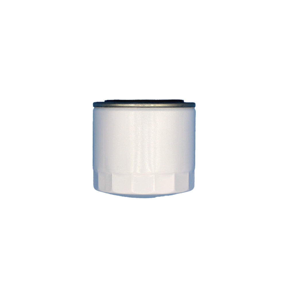 Oil Filter Fits Montana Replaces FII50-0067