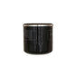 Oil Filter Fits Exmark 126-5234 120-4276 127-9222 LC1P92F-1 SV820/LC1P92F