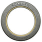 Oil Seal Fits Massey Ferguson Replaces 3019957X1