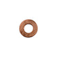 Aftermarket Replacement Injector Washer 70920081 Fits Massey Ferguson Models