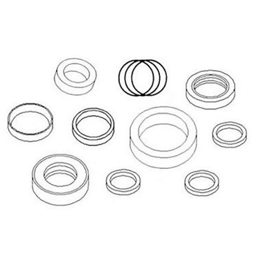 835560M92 Hydraulic Cylinder Seal Kit Fits Massey Ferguson 200 Loader Dump
