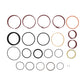 Seal Kit Fits JLG Replaces 8036295