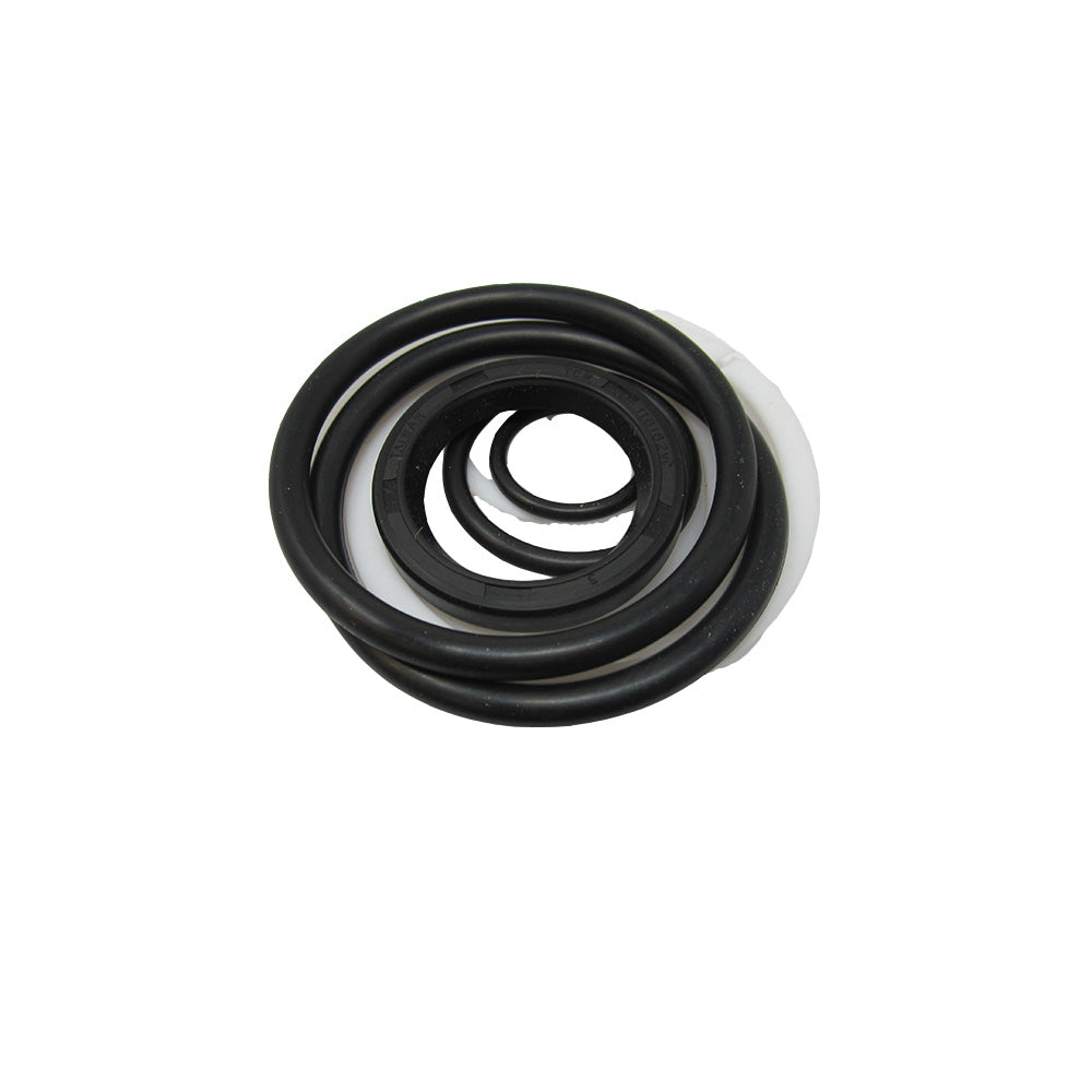 837056M91 Lift Tilt Seal Kit Fits Massey Ferguson Skid Steer Loader MF811 811
