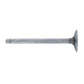 JDS2159 Intake Valve Fits John Deere
