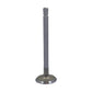 JDS5528-STR Intake Valve Fits John Deere 3010 3020 4010 4020