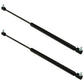 Qty 2: Rear Window Gas Struts Fits Case IH Replaces K303743