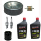 Filters w/ Spark Plugs & Oil Fits John Deere Replaces 1196