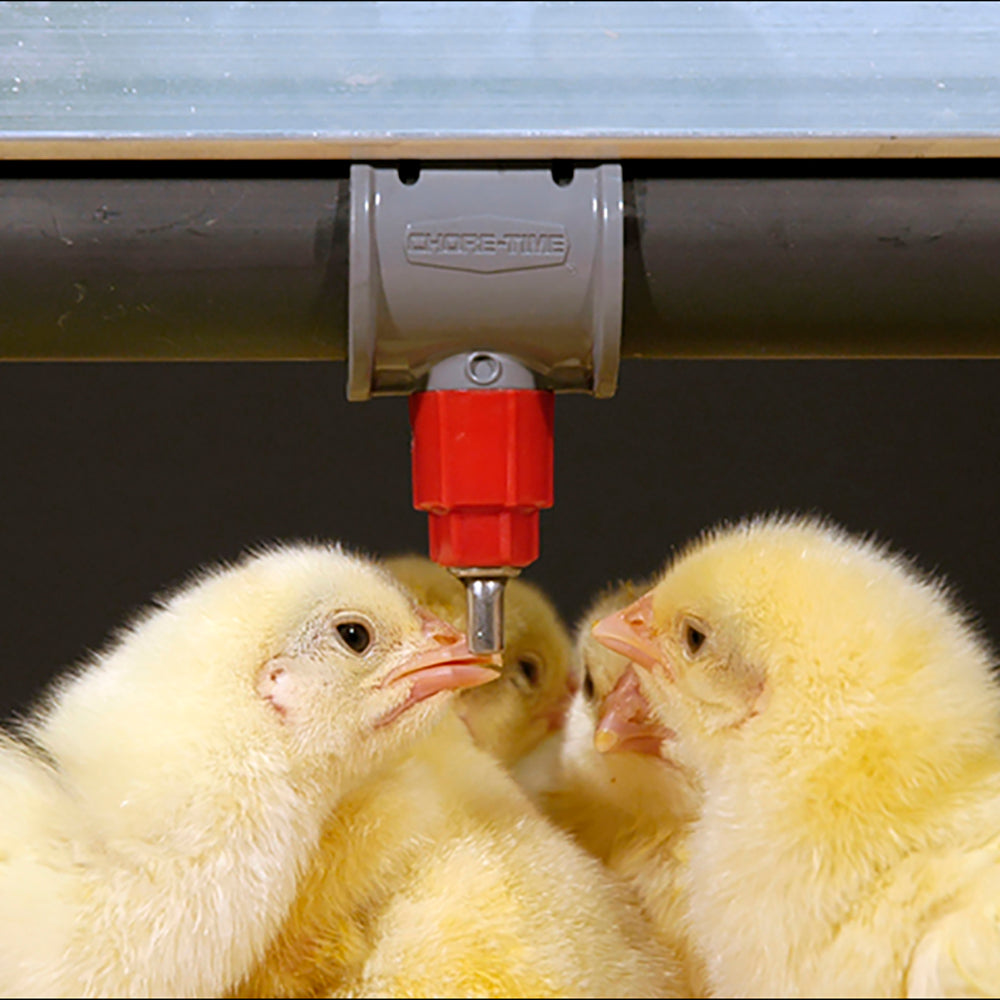 SPN-1 One Screw-in Water Nipple Drinker For Chickens, Ducks, Geese, & Waterfowl