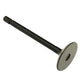Intake Valve Fits Ford Replaces 120166350
