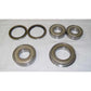 PV701 Bearing & Seal Kit 310 Fits Case 310, 350, 350B