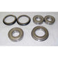 PV702 Bearing & Seal Kit 350, 350B - Fits Case 310, 350, 350B