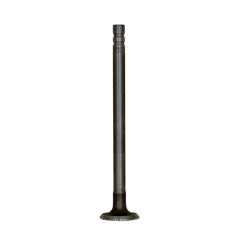 Intake Valve - 1.250" Fits Minneapolis-Moline Replaces 107299A