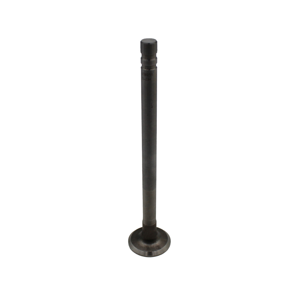 Intake Valve - 1.250" Fits Minneapolis-Moline Replaces 107299A