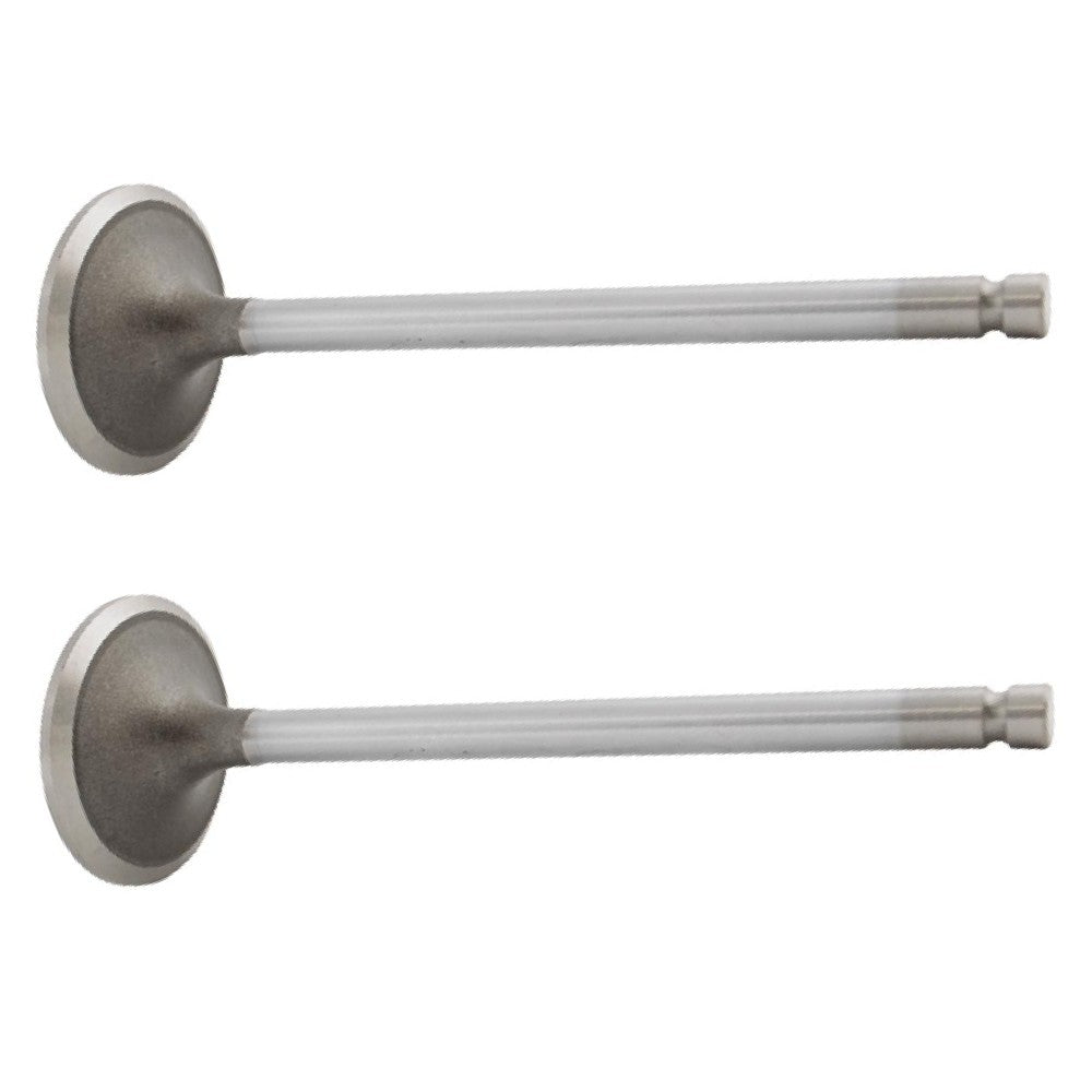 Qty 2: Intake Valve Fits Massey Ferguson Replaces 3802005