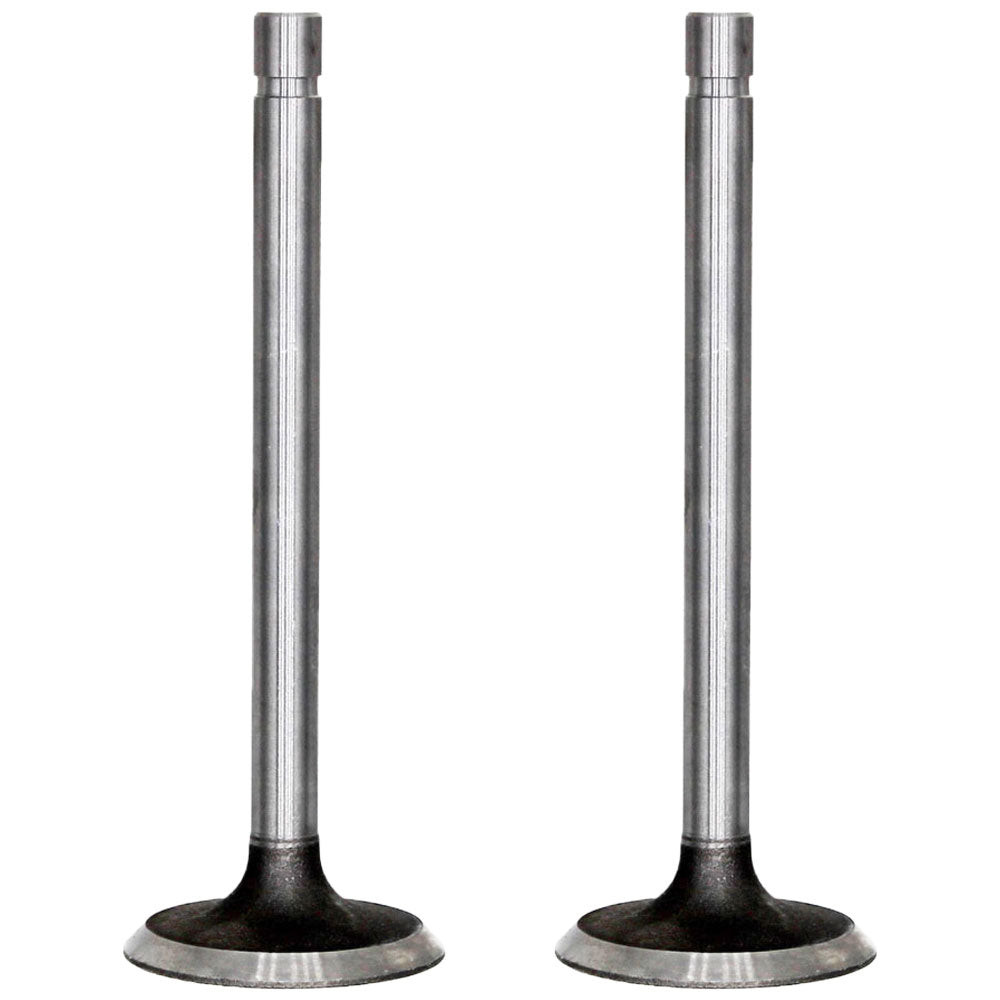 Set of Two R52251 Intake Valves Fits John Deere 3300 499 7440 2270 244E 3120