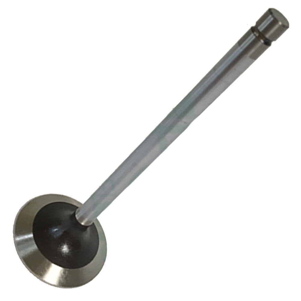 Standard Intake Valve Fits 120 210D 210LE 240 290D 3100 310C 310D 315C 315D 340D