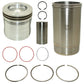 Piston Kit RE64509 Fits John Deere 7710 7810 8100 8100T 8110 8110T 8200