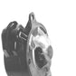 Starter — "FORD MARINE 4.5"" 9T CCW" Fits OMC Replaces ROM3143N-USA