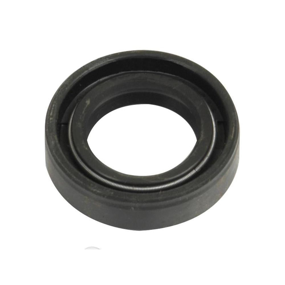 S.3768 Seal, Outer, 1884308M1 Fits Ford/New Holland