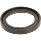 S.59038 SEAL Fits Fiat