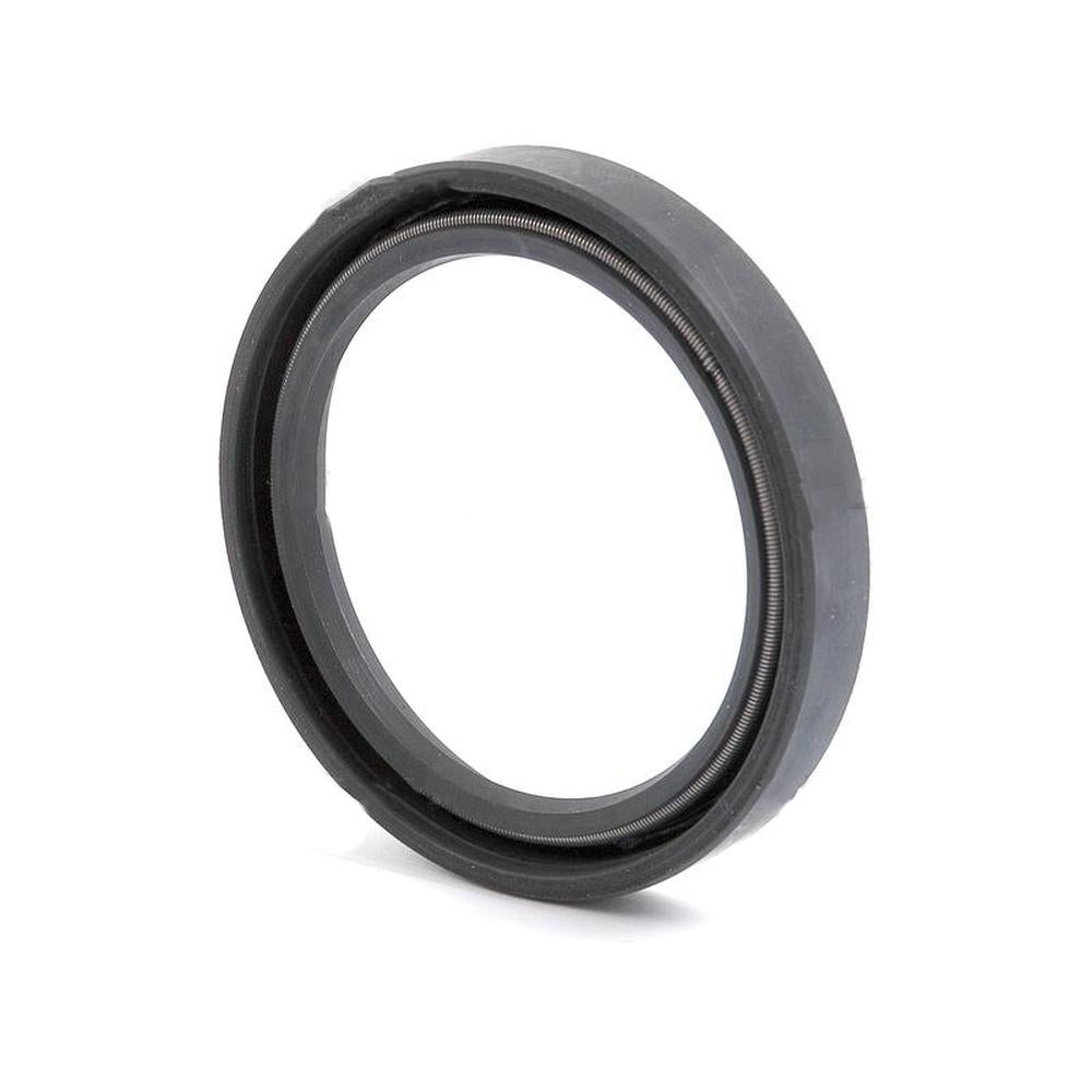 S.62491 Double Lip Seal,  x  x mm Fits Case IH