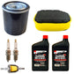 Tune Up Engine Maintenance Kit for Kohler Twin Courage SV710-SV740 32 789 01-S