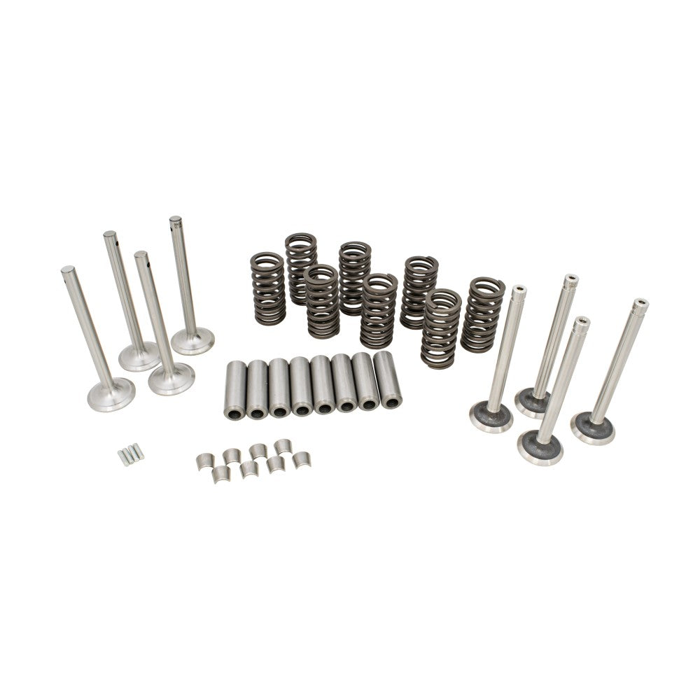 Valve Train Kit Fits Massey Ferguson TO35 35 50 135 150 202 204 Tractor