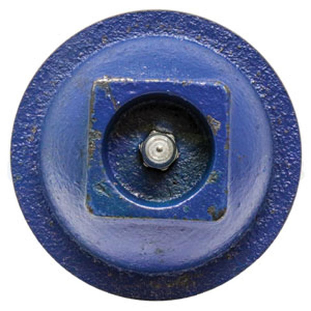 WHI30-0070 - Hub Cap